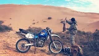 Картинка: охота на зайца в пустыне. охота на мотоцикле. иж-43