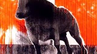 Картинка: днепр 11 соло - red bull ( часть 2 )