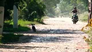 Картинка: іж-56 бучач