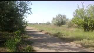 Картинка: мой мотоцикл днепр мт9