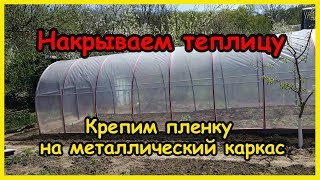 Картинка: как накрыть теплицу пленкой | необычный способ крепления