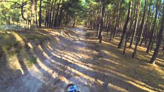 Картинка: по лісу на "днепр мт 9". осінь, вишгород 2014