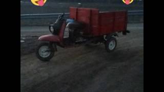 Картинка: муравей 2 c двигателем oт днепр 11.